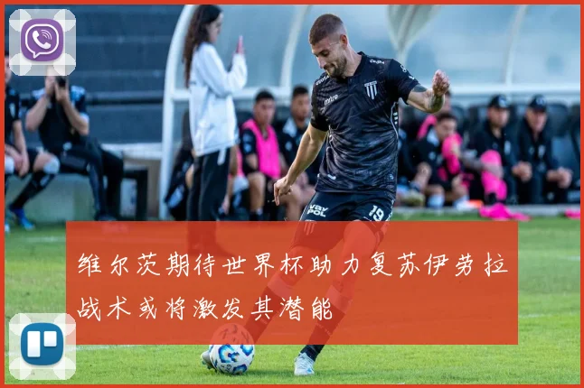 维尔茨期待世界杯助力复苏伊劳拉战术或将激发其潜能