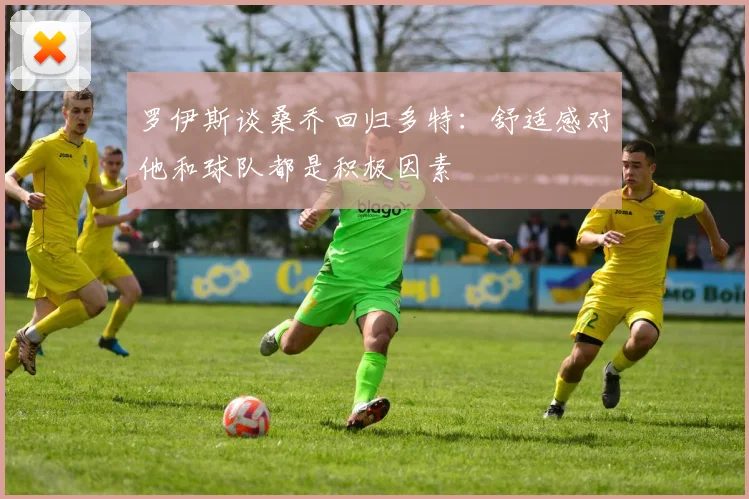 罗伊斯谈桑乔回归多特：舒适感对他和球队都是积极因素